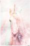Reinders! Poster magische eenhoorn in vrolijke kleuren fantasie paard - Thumbnail 1