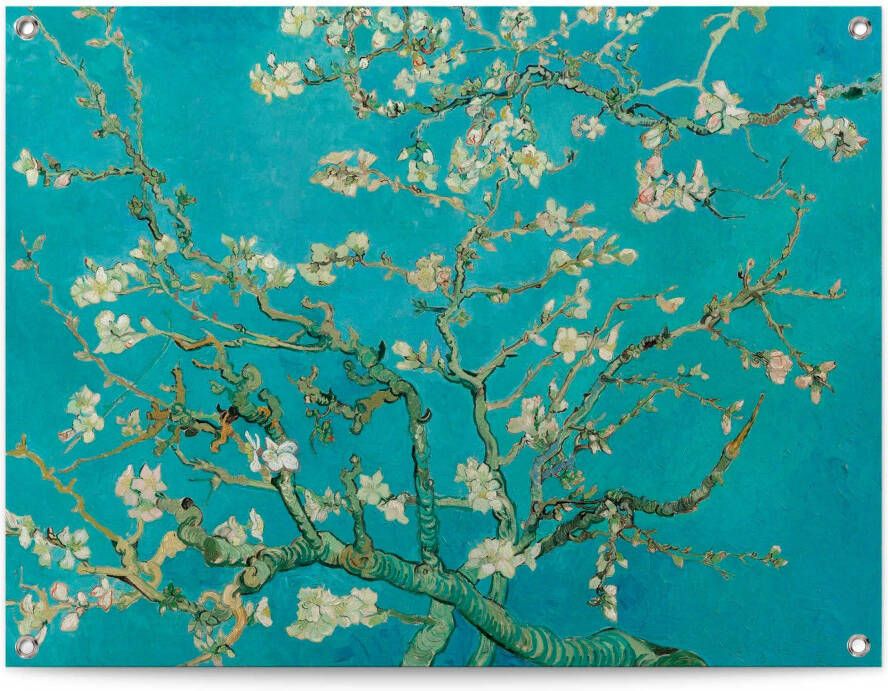 Reinders! Poster Mandelblüte Vincent van Gogh