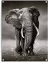 Reinders! Poster Olifant - Thumbnail 1
