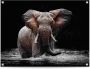 Reinders! Poster Olifant Outdoor voor tuin of balkon - Thumbnail 1