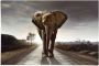 Reinders! Poster Olifant wandeling - Thumbnail 1