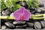 Reinders! Poster Orchidee - Thumbnail 1