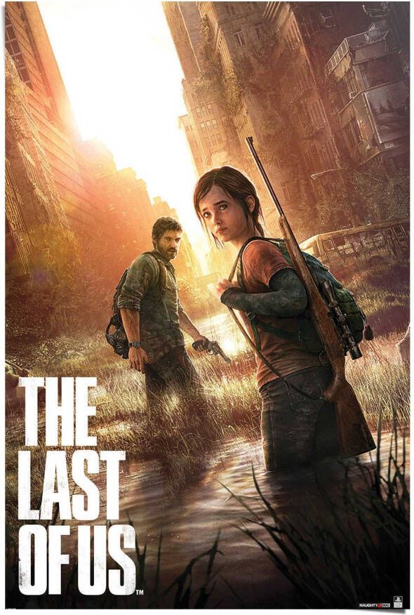Reinders! Poster Playstation the last of us