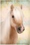 Reinders! Poster Pony liefde - Thumbnail 1