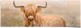 Reinders! Poster Schotse hooglander - Thumbnail 1