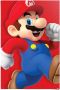 Reinders! Poster Super Mario Nintendo - Thumbnail 1