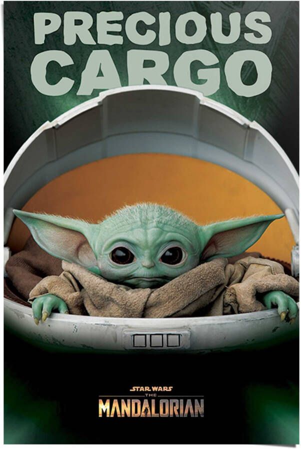 Reinders! Poster The Mandalorian baby Yoda