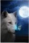 Reinders! Poster Witte wolf - Thumbnail 1