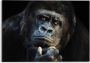 Reinders! Print op glas Artprint op glas gorilla aap krachtig peinzend - Thumbnail 1