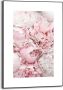 Reinders! Wanddecoratie Ingelijste print pioenrozen bloemen romantisch - Thumbnail 1