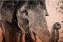 Wall-Art Metalen artprint Indian Elephant 60 40 cm - Thumbnail 1