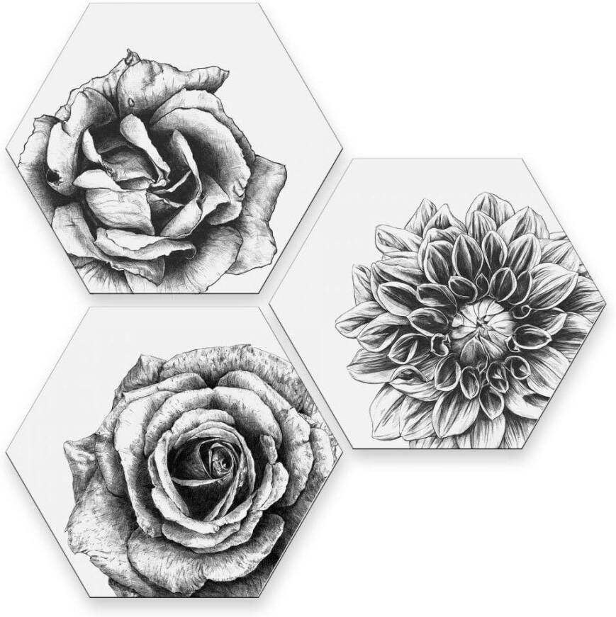 Wall-Art Meerdelige artprint Bloemen collage fleurige decoratie (set 3-delig)