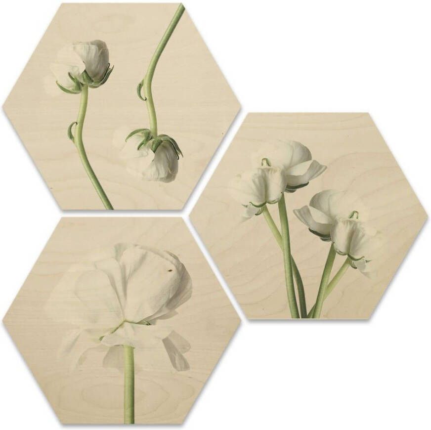 Wall-Art Meerdelige artprint Lelietje-van-dalen bloemen collage (set 3-delig)
