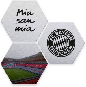 Wall-Art Meerdelige artprint Zilver FC Bayern München (set 3 stuks)
