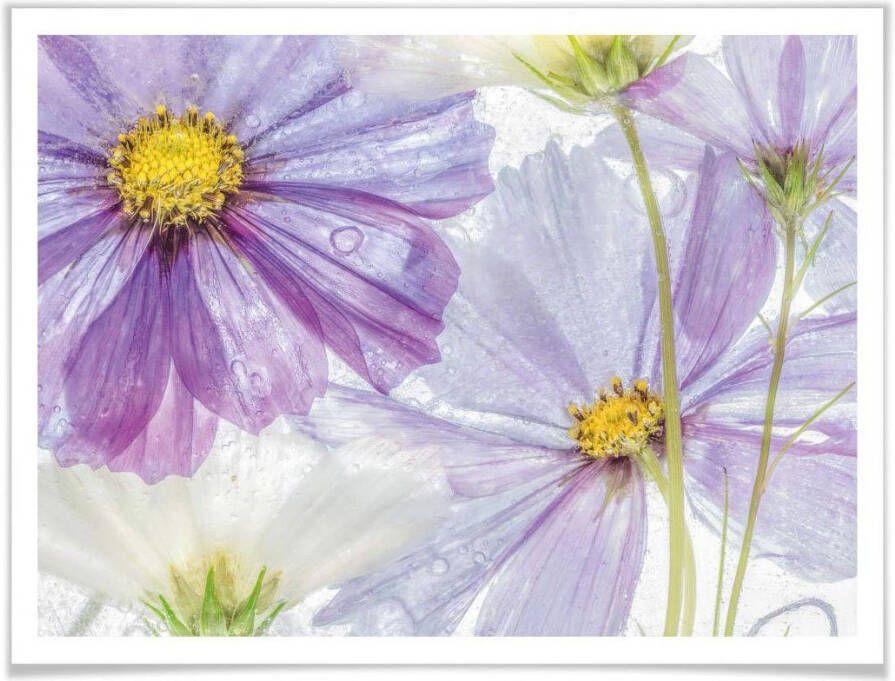 Wall-Art Poster Gebloemde paars blauw bloemen kunst (1 stuk)