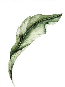 Wall-Art Poster Kvilis Banana Leaf 02 Poster artprint wandposter