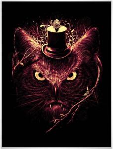 Wall-Art Poster Nicebleed Meowl kat uil magie Poster artprint wandposter (1 stuk)