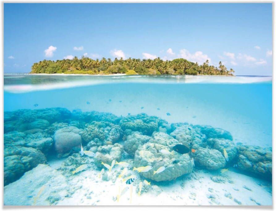 Wall-Art Poster Onderwaterwereld Malediven (1 stuk)