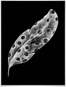 Wall-Art Poster Vogel veer zwart punten Poster artprint wandposter (1 stuk)
