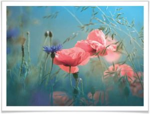 Wall-Art Poster Wilde bloemen aquamarijn (1 stuk)