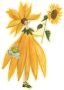 Wall-Art Wandfolie Gele zonnebloemen fee meisje (1 stuk) - Thumbnail 1