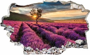 Wall-Art Wandfolie Lavendel In de Provence