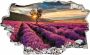 Wall-Art Wandfolie Lavendel In de Provence zelfklevend verwijderbaar - Thumbnail 1