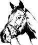 Wall-Art Wandfolie Paardenkop zelfklevend verwijderbaar - Thumbnail 1