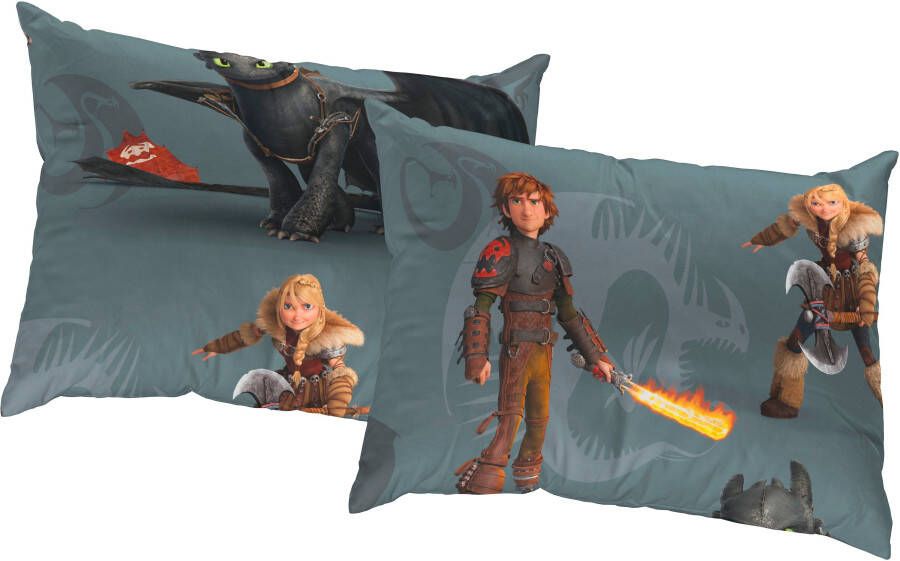 Wirth Sierkussen Dragons Universal Pictures kussenhoes zonder vulling(2 stuks)