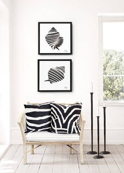 Sizland Dezign Canvas schilderijen Seasells Canvas & Kunststof lijst Zwart & Wit Set van 2 stuks