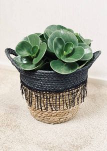 Sizland Dezign Mand Boho Touw Beige & Zwart Klein