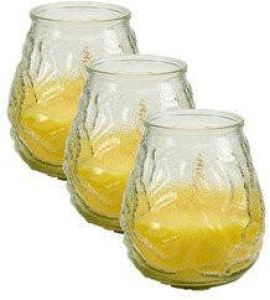 Arte r 3x stuks windlichten geurkaarsen citronella glas 10 cm Sfeerlichten citronellageur Waxinelichtjes Anti-muggen citronella geurkaarsen