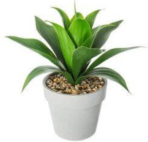 ATMOSPHERA Aloe Vera kunstplant in pot van cement 34 cm Nepplanten Kunstplanten