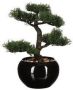 ATMOSPHERA Bonsai in keramische pot 36 cm Kunstplanten Nepplanten Kunstplanten - Thumbnail 2
