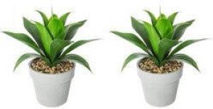 ATMOSPHERA Set van 2x stuks Aloe Vera kunstplanten in pot van cement 34 cm Nepplanten Kunstplanten