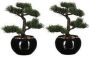 ATMOSPHERA Set van 2x stuks bonsai in keramische pot 36 cm Nepplanten Kunstplanten - Thumbnail 2
