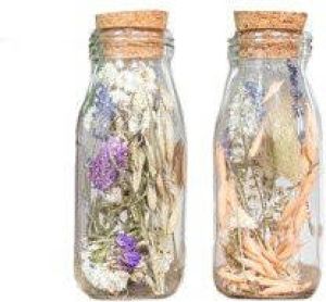 Bloomique 2x Droogbloemen in glas – Meerkleurig – Incl. Fles – Maat M – ↕15 cm