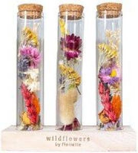 Bloomique 3x Droogbloemen in glas – Meerkleurig – Incl. fles – Maat L – ↕15 cm