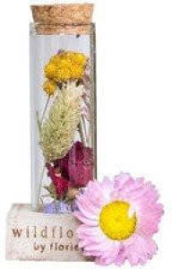 Bloomique Droogbloemen in glas – Meerkleurig – Incl. Fles – Maat S – ↕10 cm