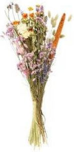 Bloomique Droogbloemen – Veldboeket – Meerkleurig – Maat L – ↕60 cm
