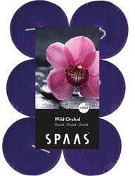 Candles by Spaas 48x Maxi geurtheelichtjes Orchid Blossom 10 branduren Geurkaarsen orchidee bloemen geur Grote waxinelichtjes geurkaarsen
