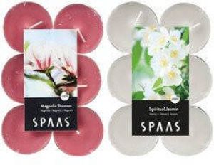 Candles by Spaas geurkaarsen 24x stuks in 2 geuren Jasmin en Magnolia Flowers Maxi theelichtjes geurkaarsen