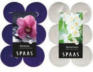Candles by Spaas geurkaarsen 24x stuks in 2 geuren Jasmin en Wild Orchid Maxi theelichtjes geurkaarsen