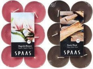 Candles by Spaas geurkaarsen 24x stuks in 2 geuren Magnolia Blossom en Exotic wood geurkaarsen