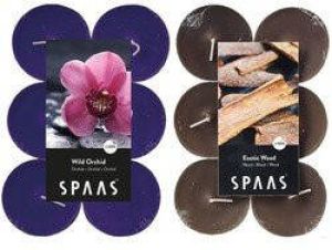 Candles by Spaas geurkaarsen 24x stuks in 2 geuren Wilde orchidee en Exotic wood geurkaarsen