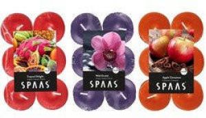 Candles by Spaas geurkaarsen 36x stuks in 3 geuren Wild Orchid Appel-Cinnamon Tropical Delight geurkaarsen