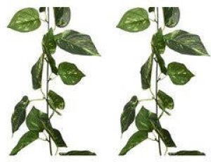 Decoris 2x stuks groene klimop kunstplant slinger 180 cm Kunstplanten nepplanten Hangplanten Kunstplanten