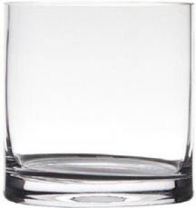 Hakbijl Glass Transparante home-basics Cylinder vorm vaas vazen van glas 15 x 15 cm Bloemen takken boeketten vaas voor binnen gebruik Vazen