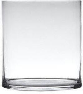 Hakbijl Glass Transparante home-basics Cylinder vorm vaas vazen van glas 30 x 25 cm Bloemen takken boeketten vaas voor binnen gebruik Vazen