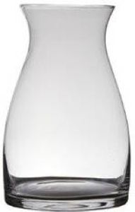 Hakbijl Glass Transparante home-basics vaas vazen van glas 20 x 15 cm Bloemen takken boeketten vaas voor binnen gebruik Vazen